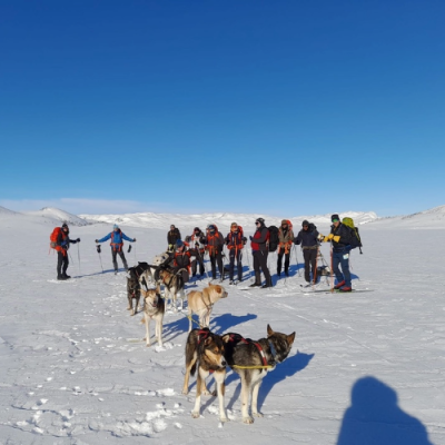 The Frontline Walk 2028: Heroes of Telemark